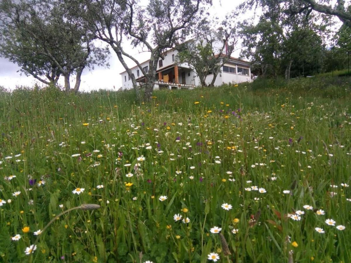 Refugio Da Montanha Amazing Views Gois Region Villa Coimbra Buitenkant foto